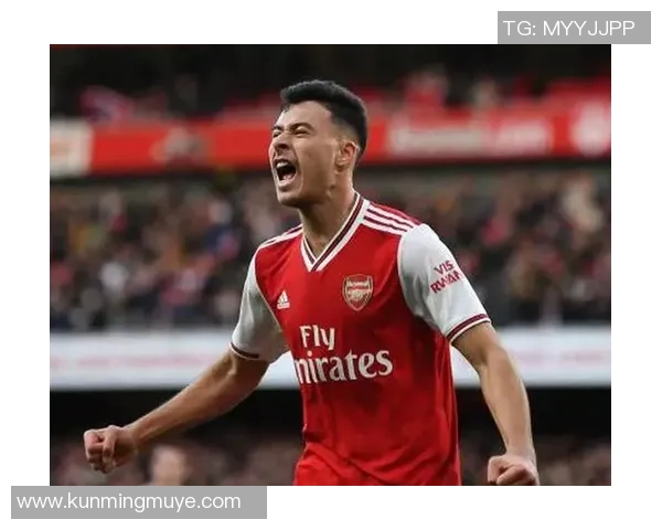 马丁内利：从新星到巨星的成长之路与未来展望